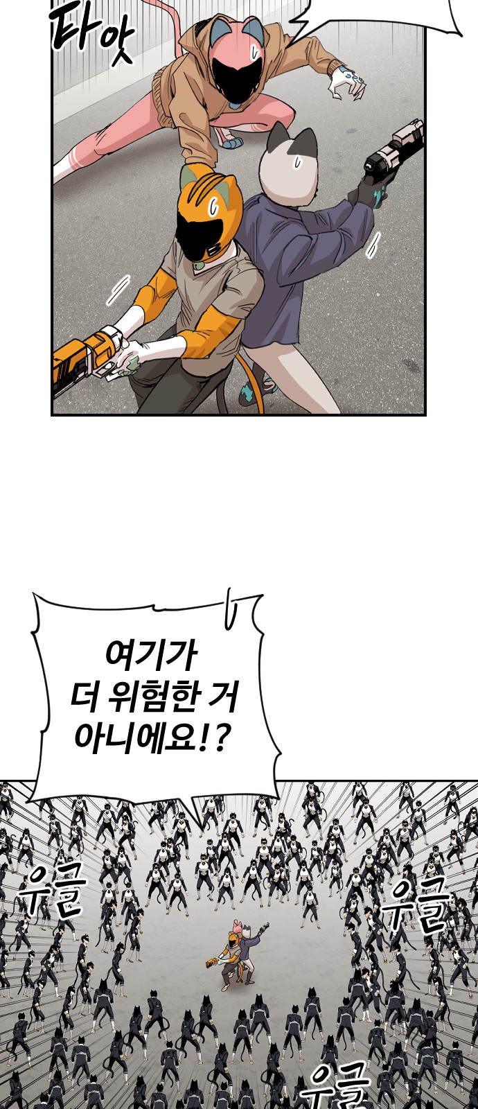 44 페이지