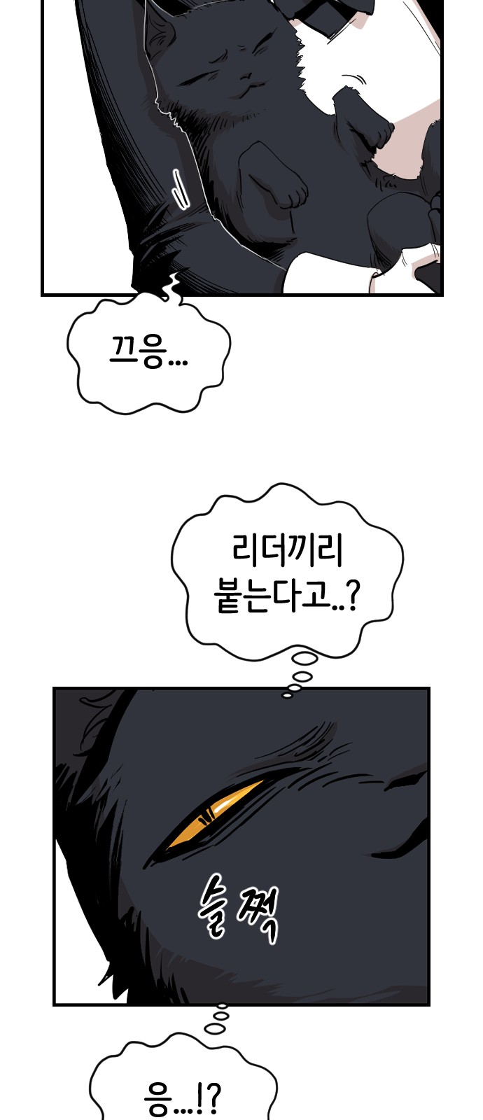 41 페이지