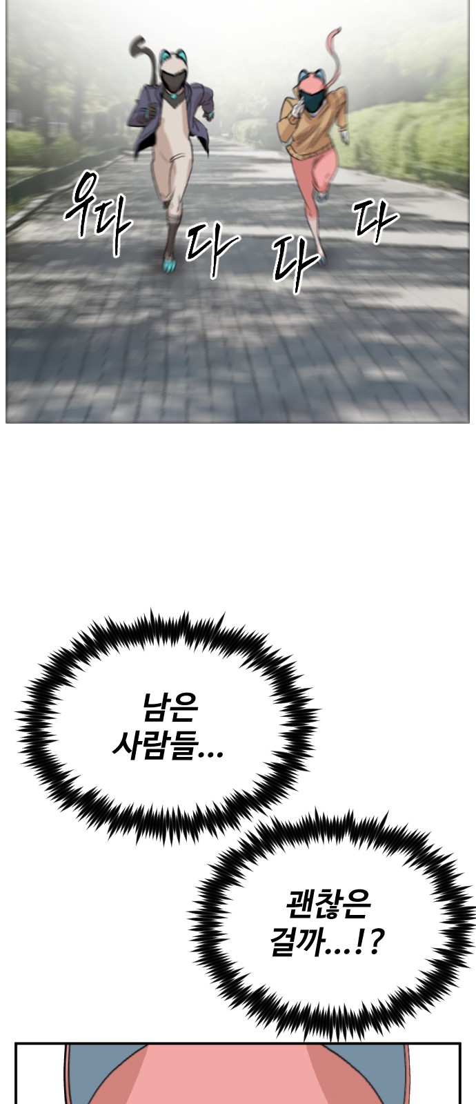 71 페이지