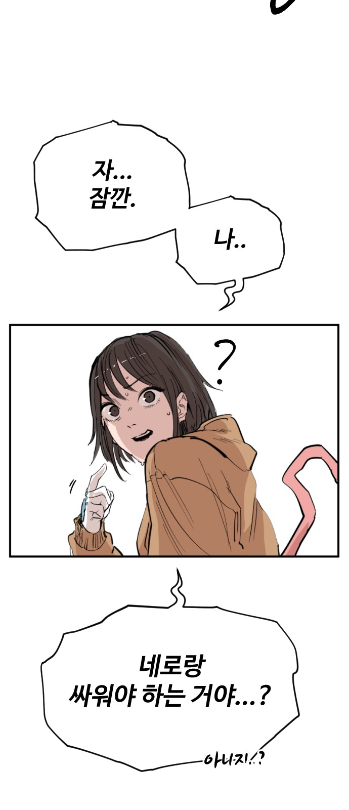 66 페이지