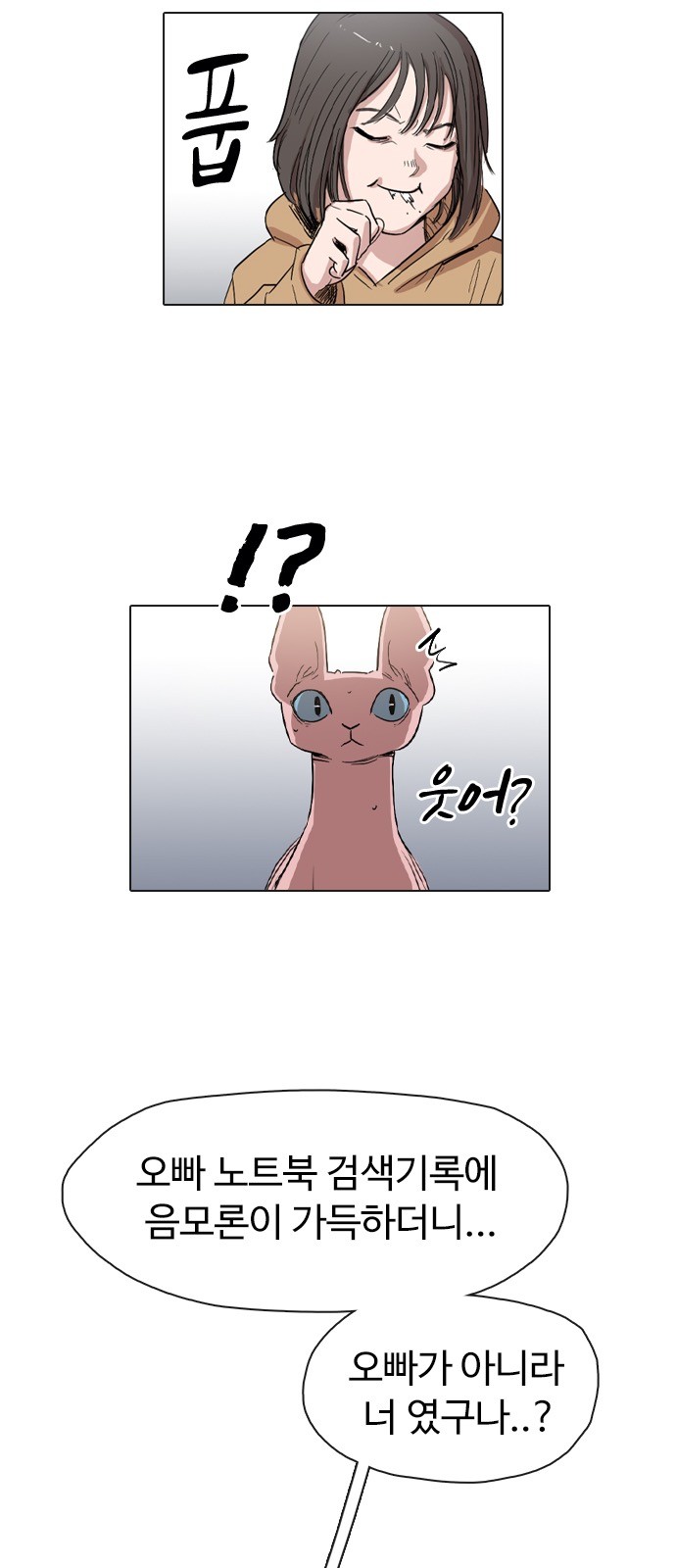 29 페이지