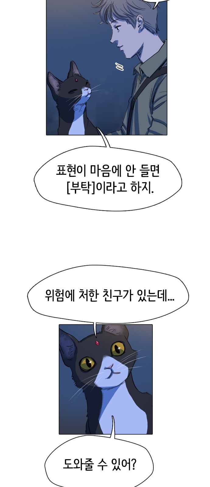 43 페이지