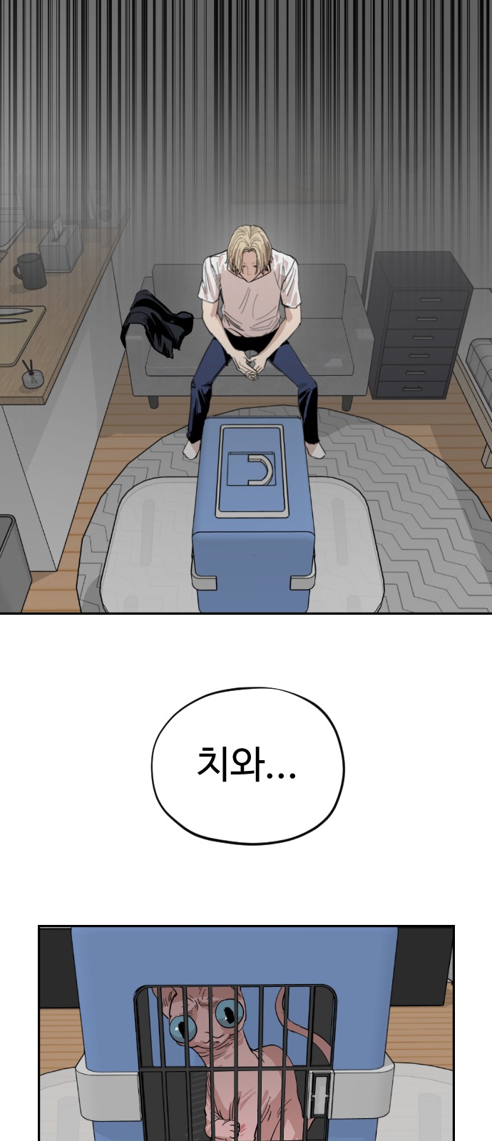 68 페이지