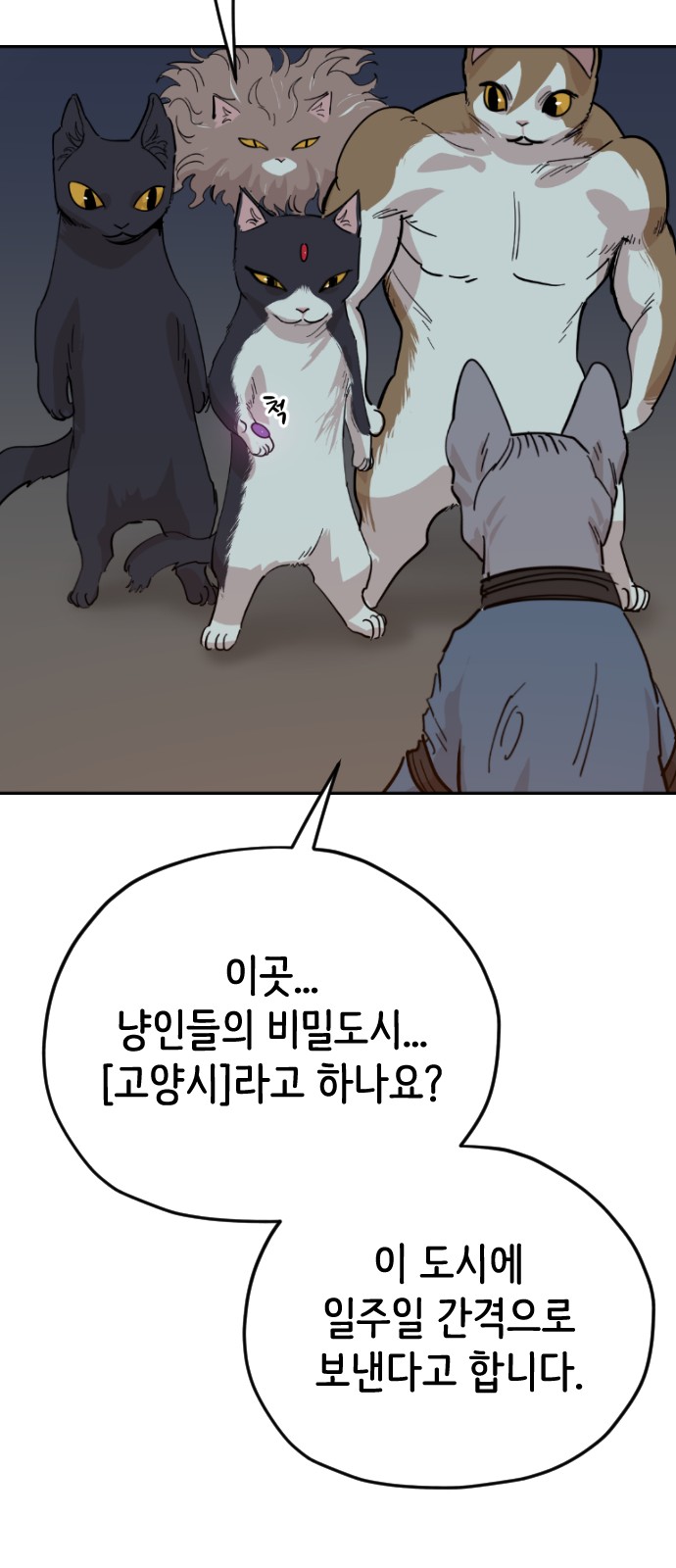 55 페이지