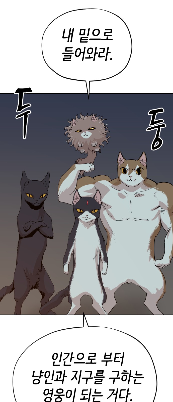 58 페이지