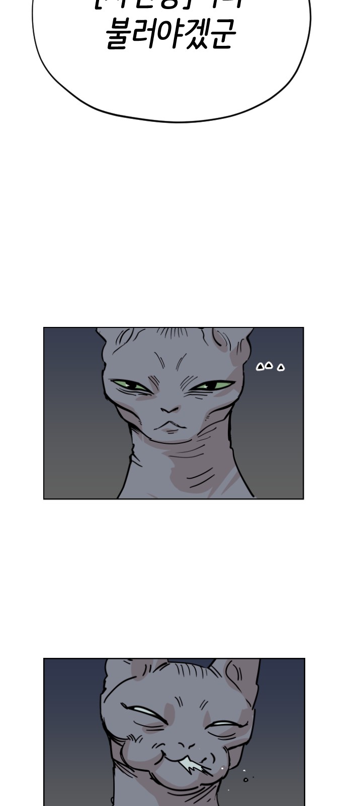 60 페이지