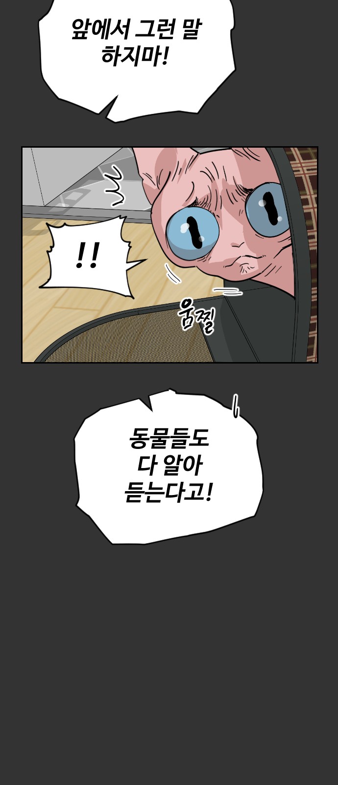 31 페이지