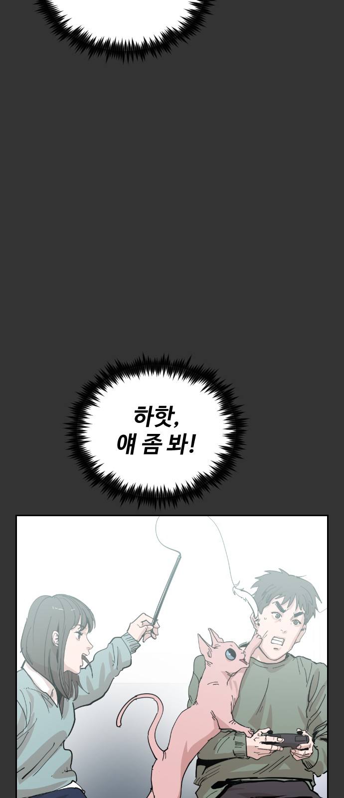 41 페이지