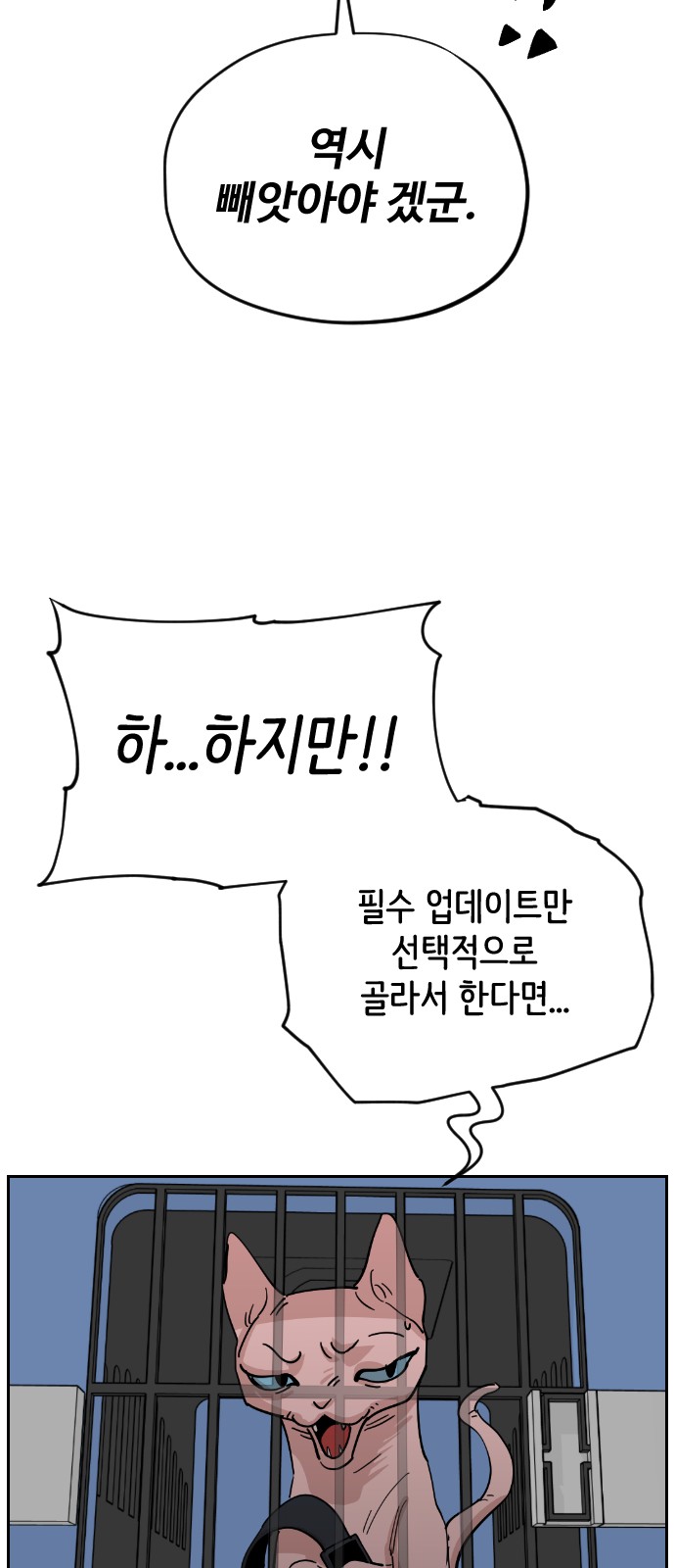 49 페이지