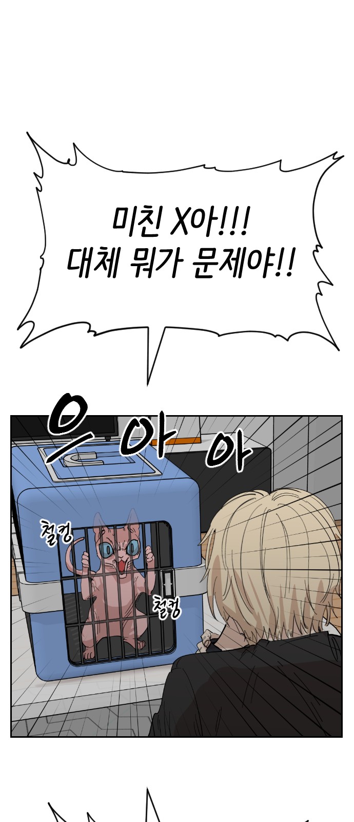 52 페이지