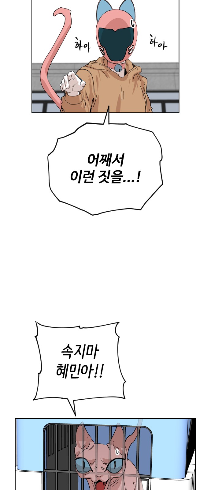 37 페이지