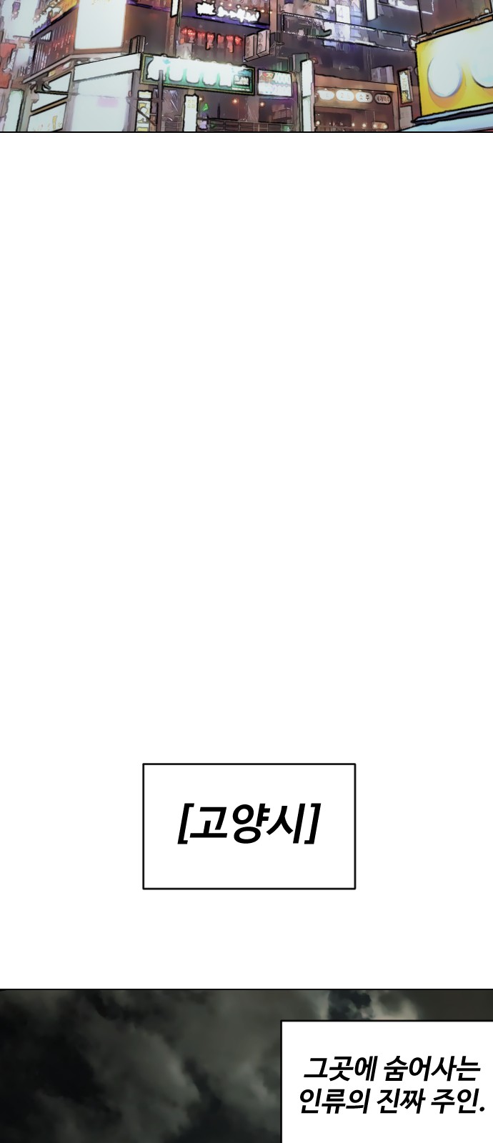 81 페이지