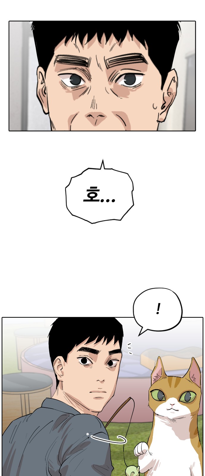 47 페이지