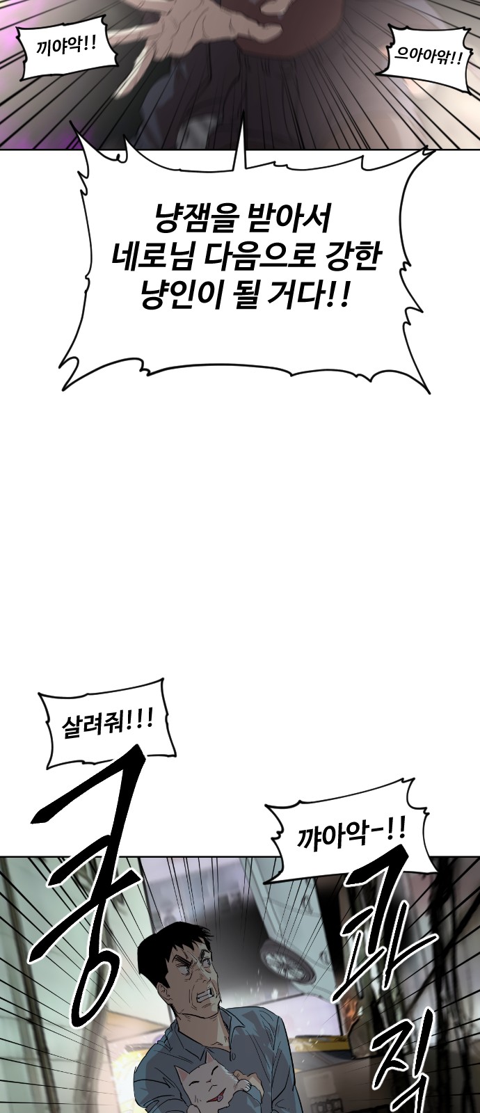 54 페이지