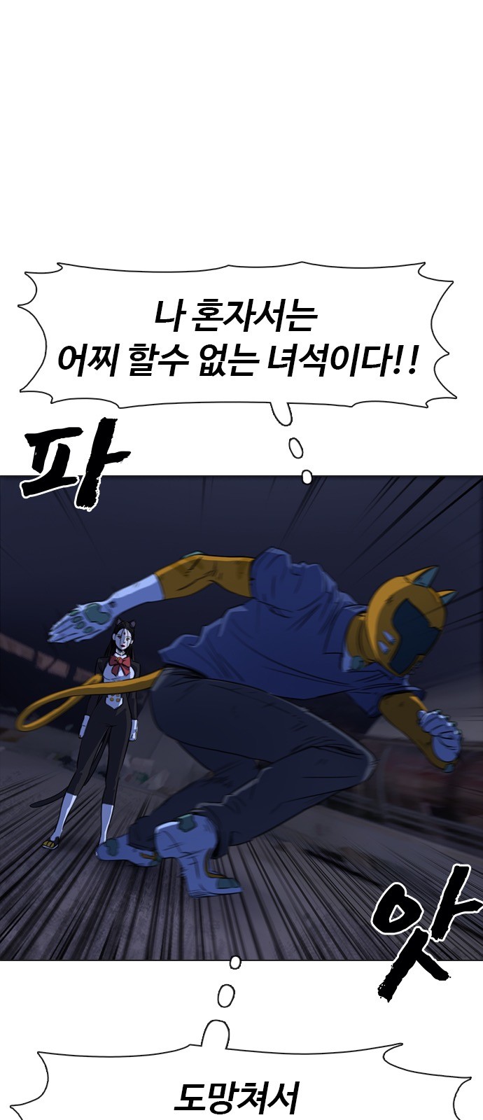 13 페이지
