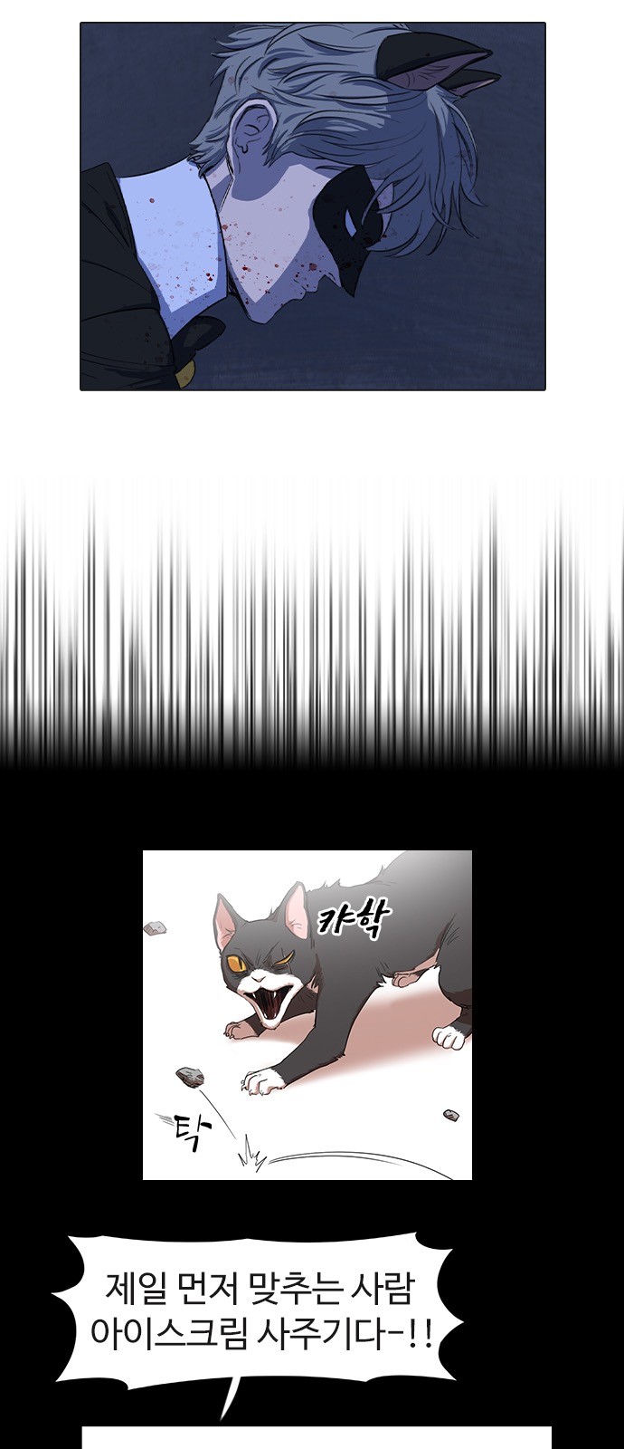 31 페이지