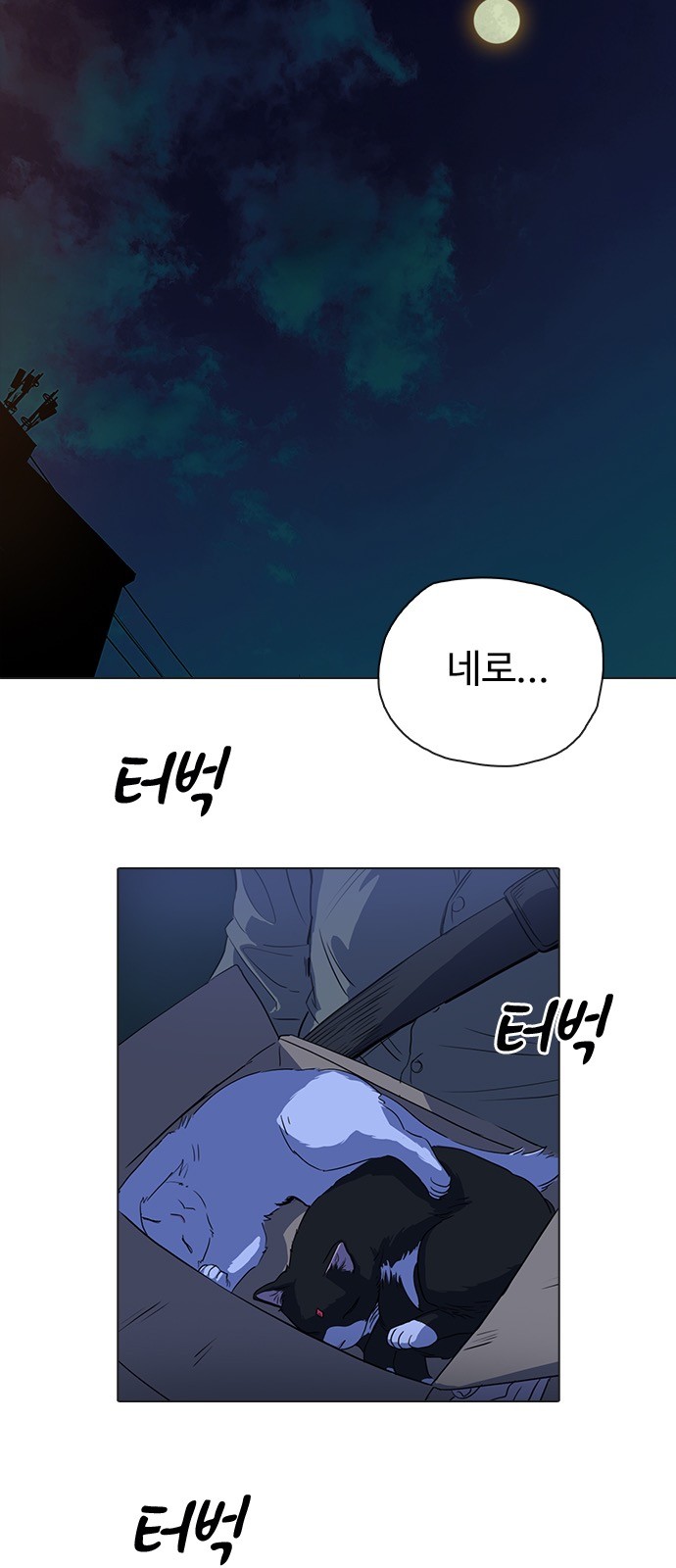 39 페이지