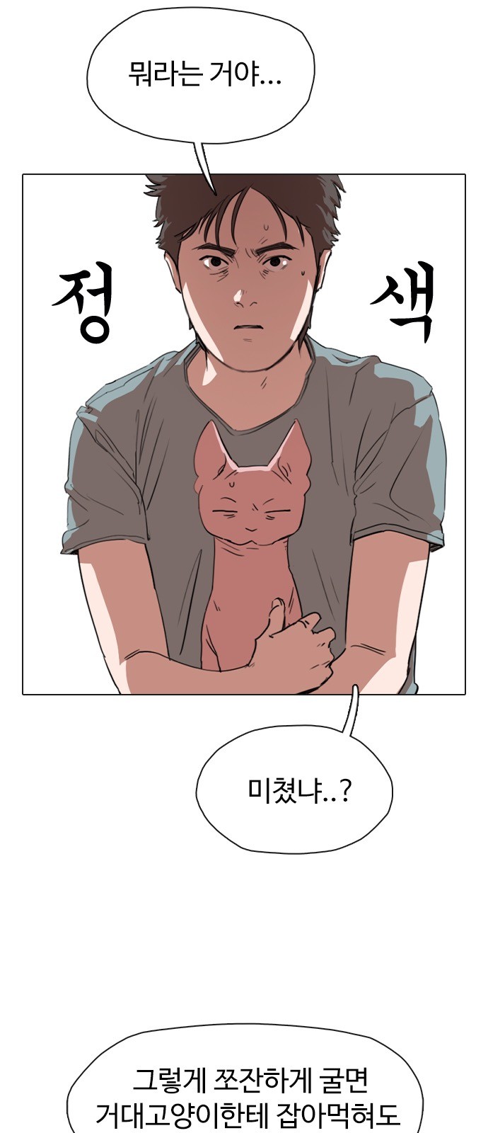 51 페이지