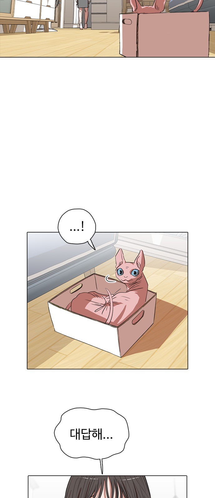 74 페이지