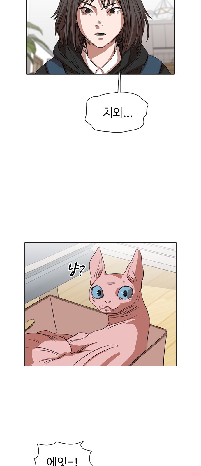 75 페이지