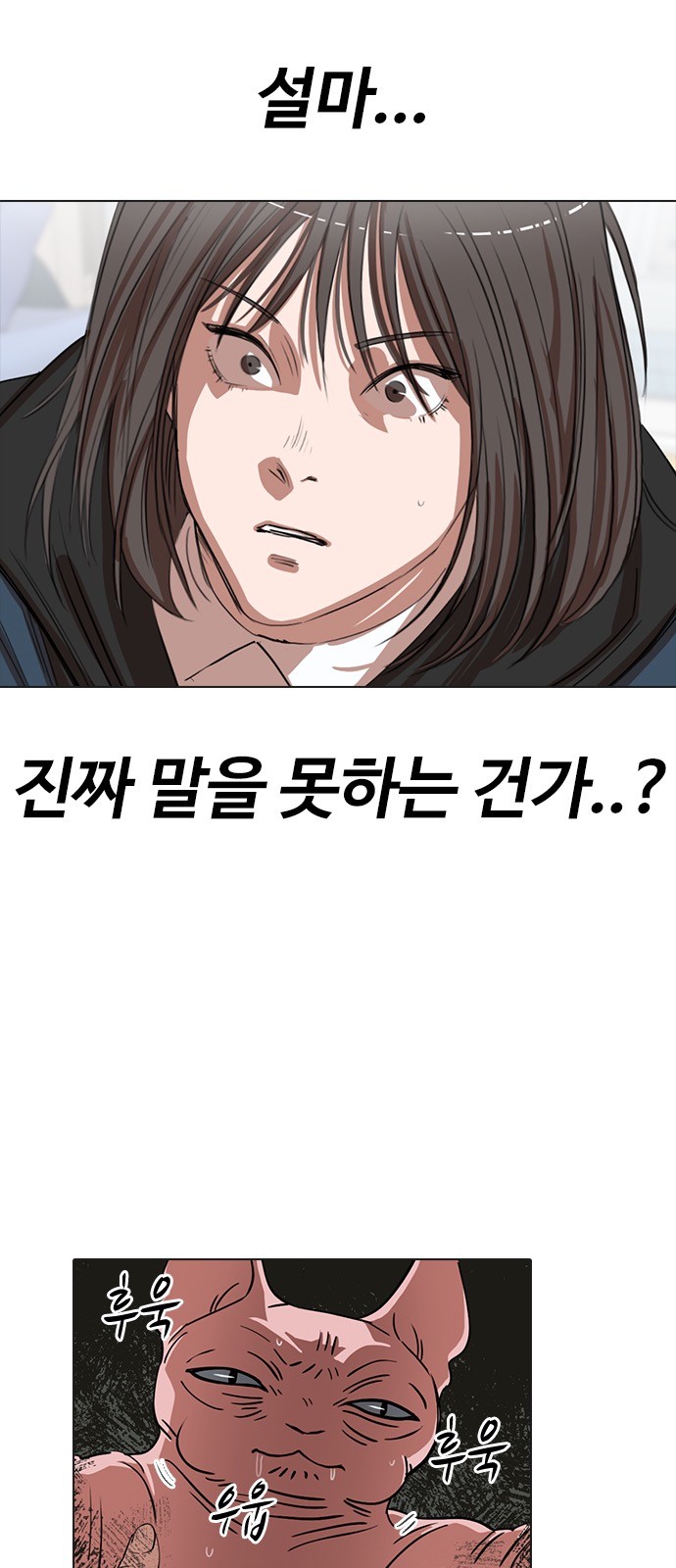 80 페이지