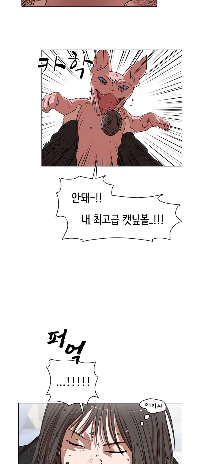 81 페이지