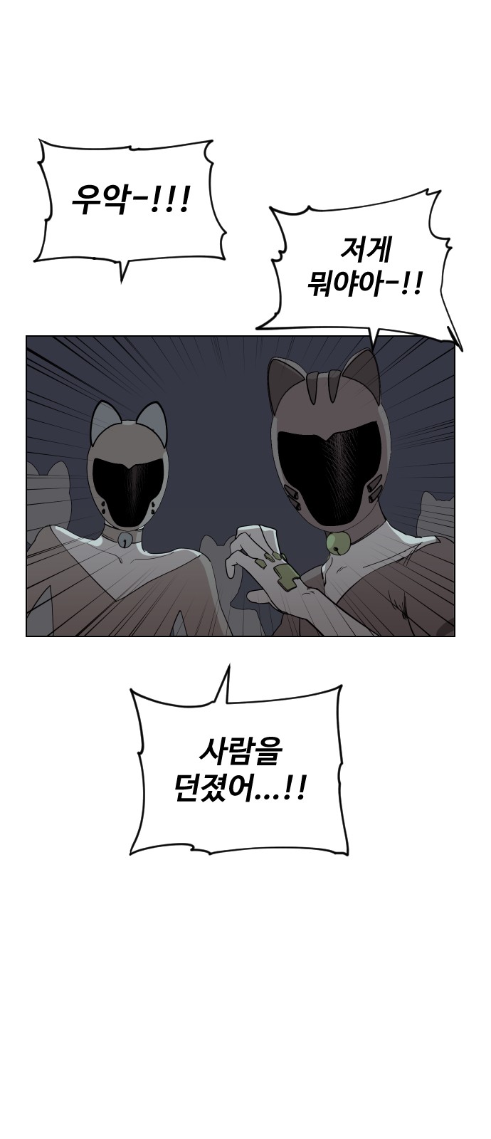 66 페이지