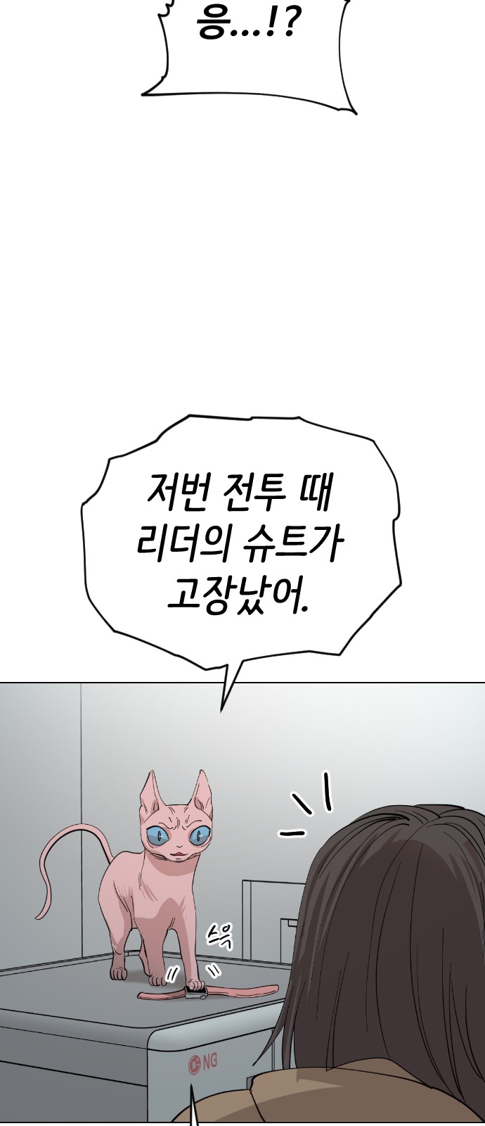 28 페이지