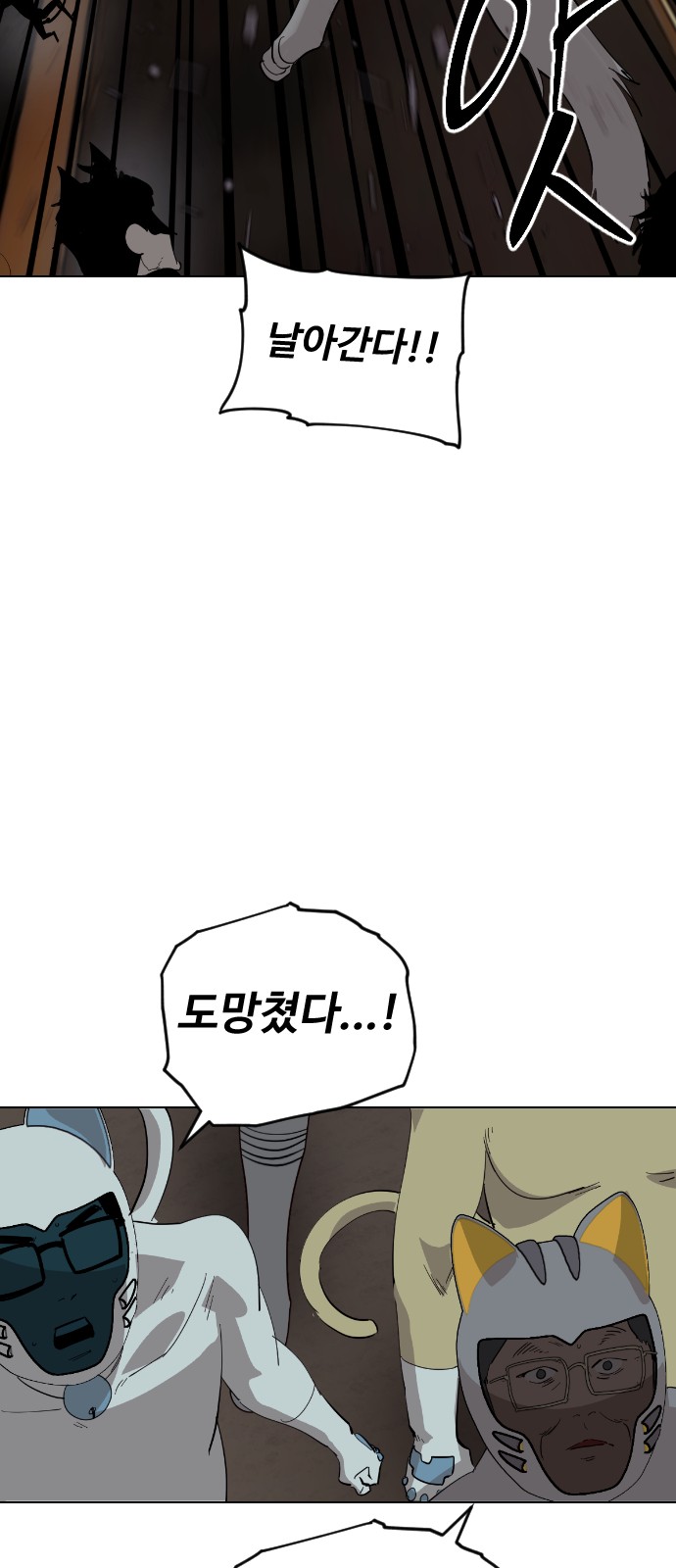 36 페이지