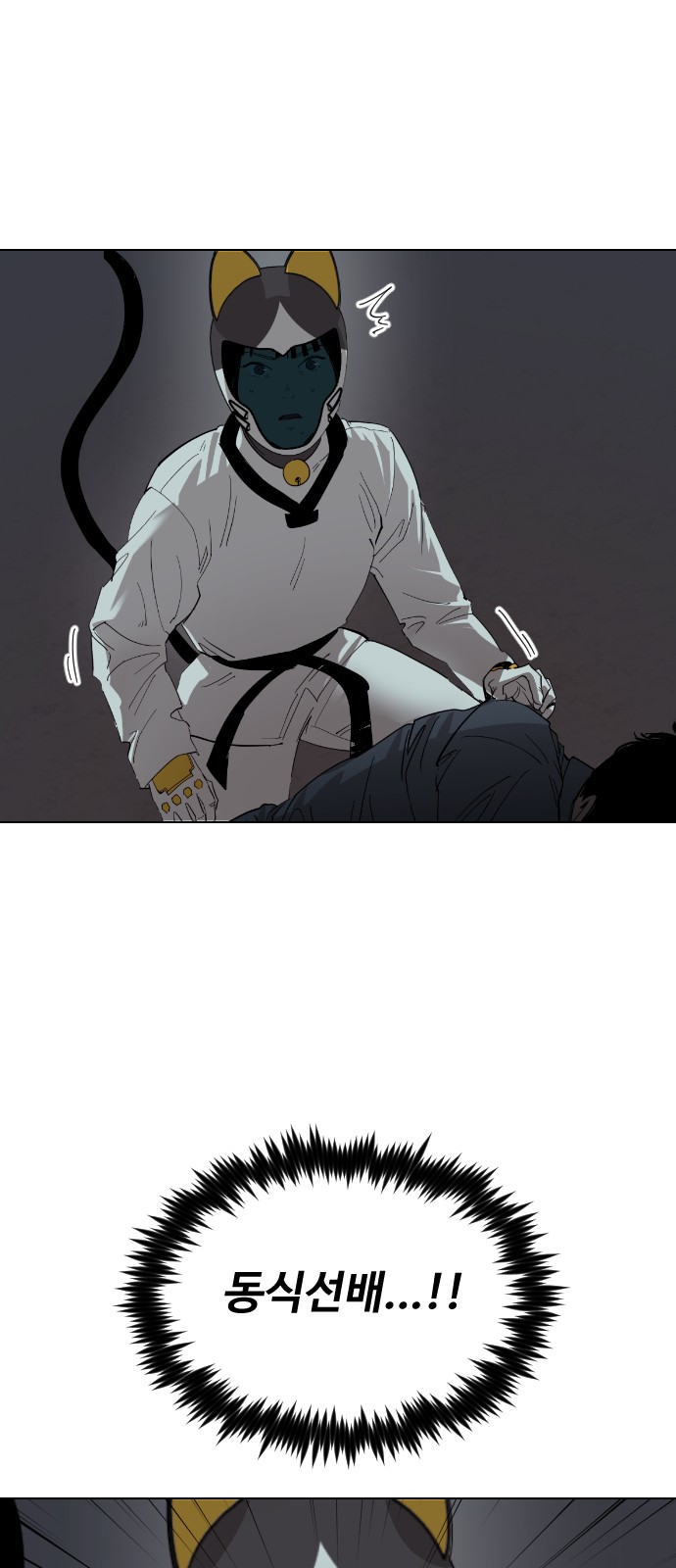 12 페이지