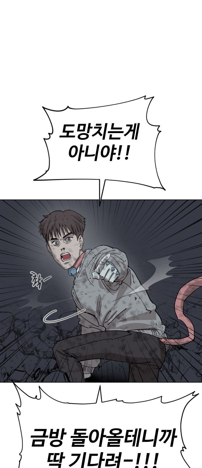 22 페이지