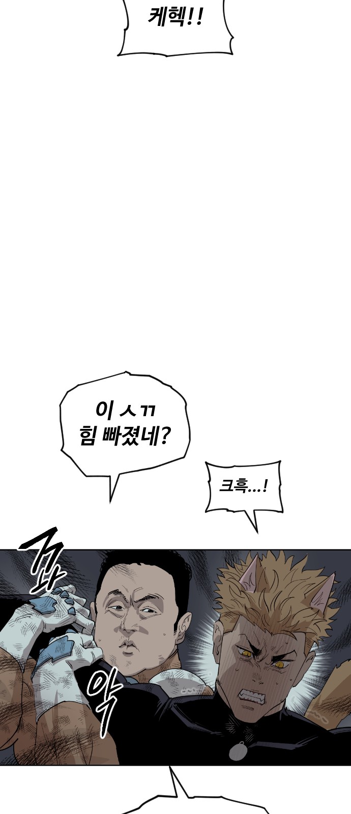 40 페이지