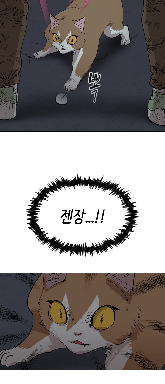 71 페이지