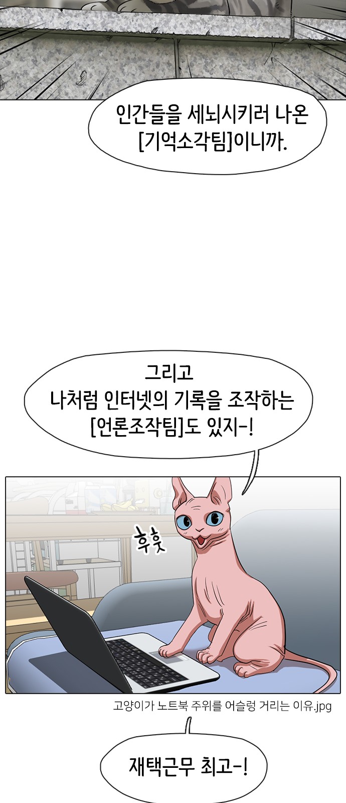 14 페이지