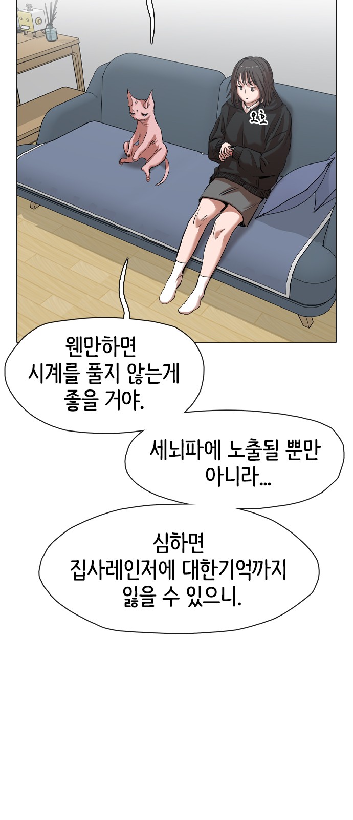 20 페이지