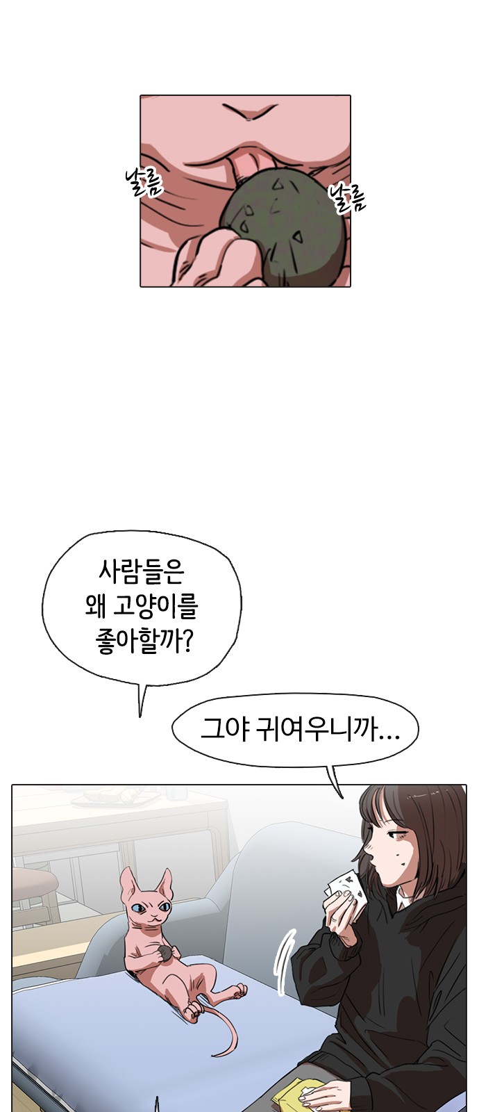 3 페이지