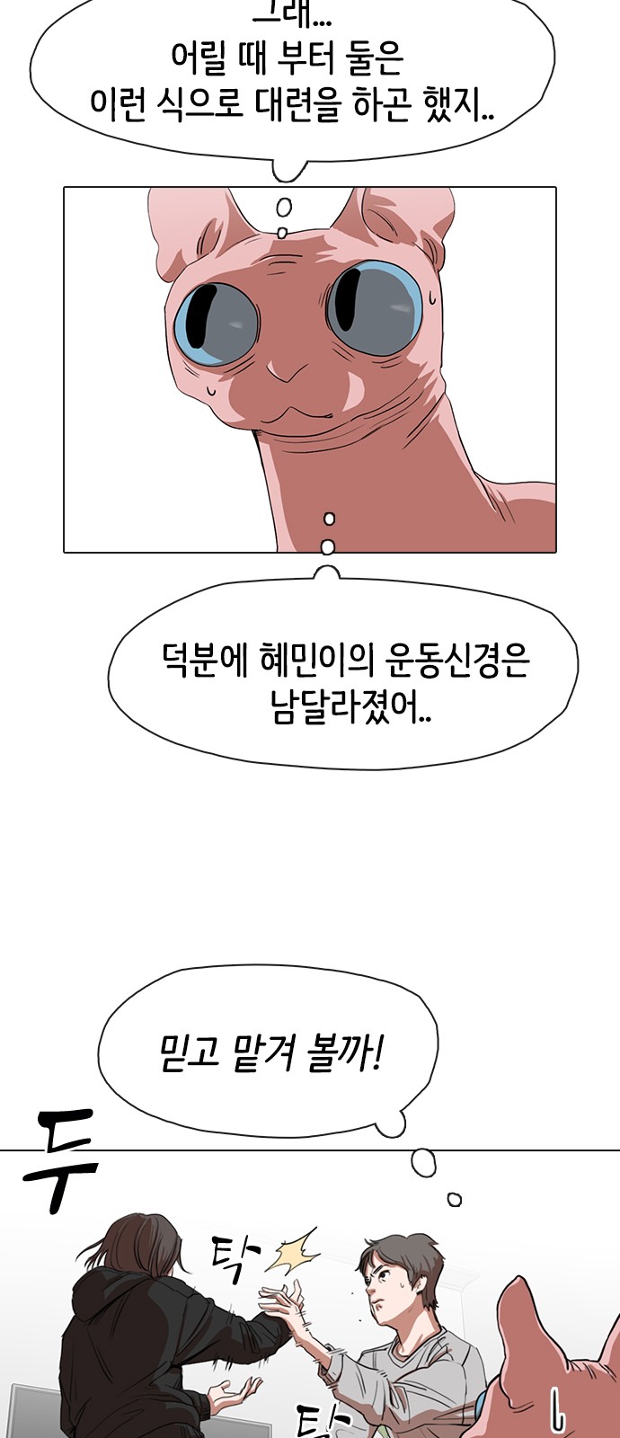 32 페이지