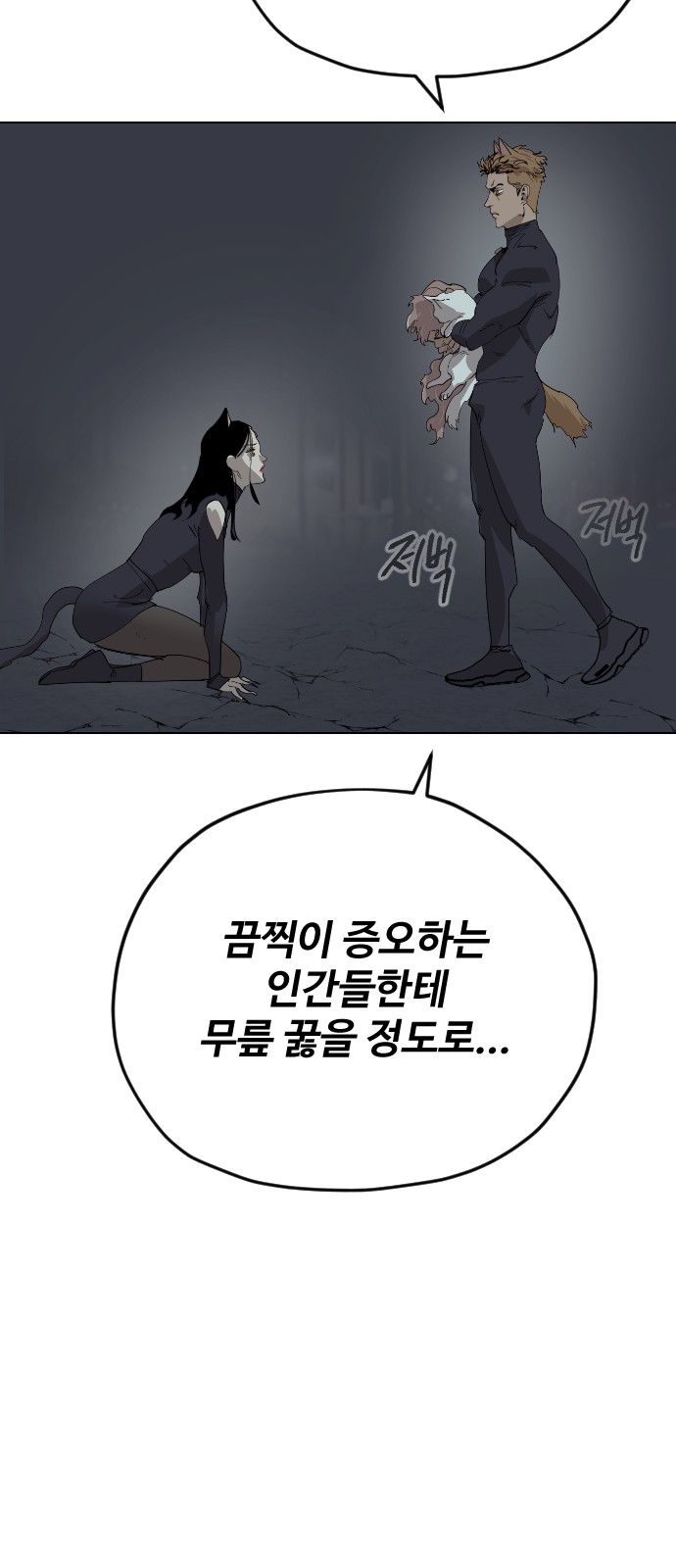 43 페이지