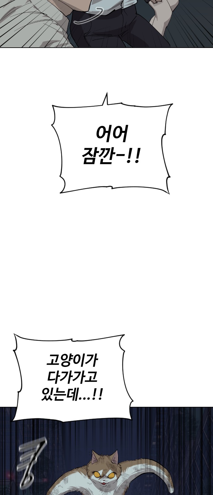 91 페이지