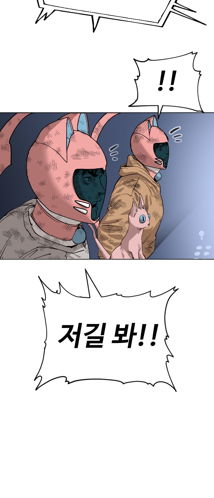 66 페이지