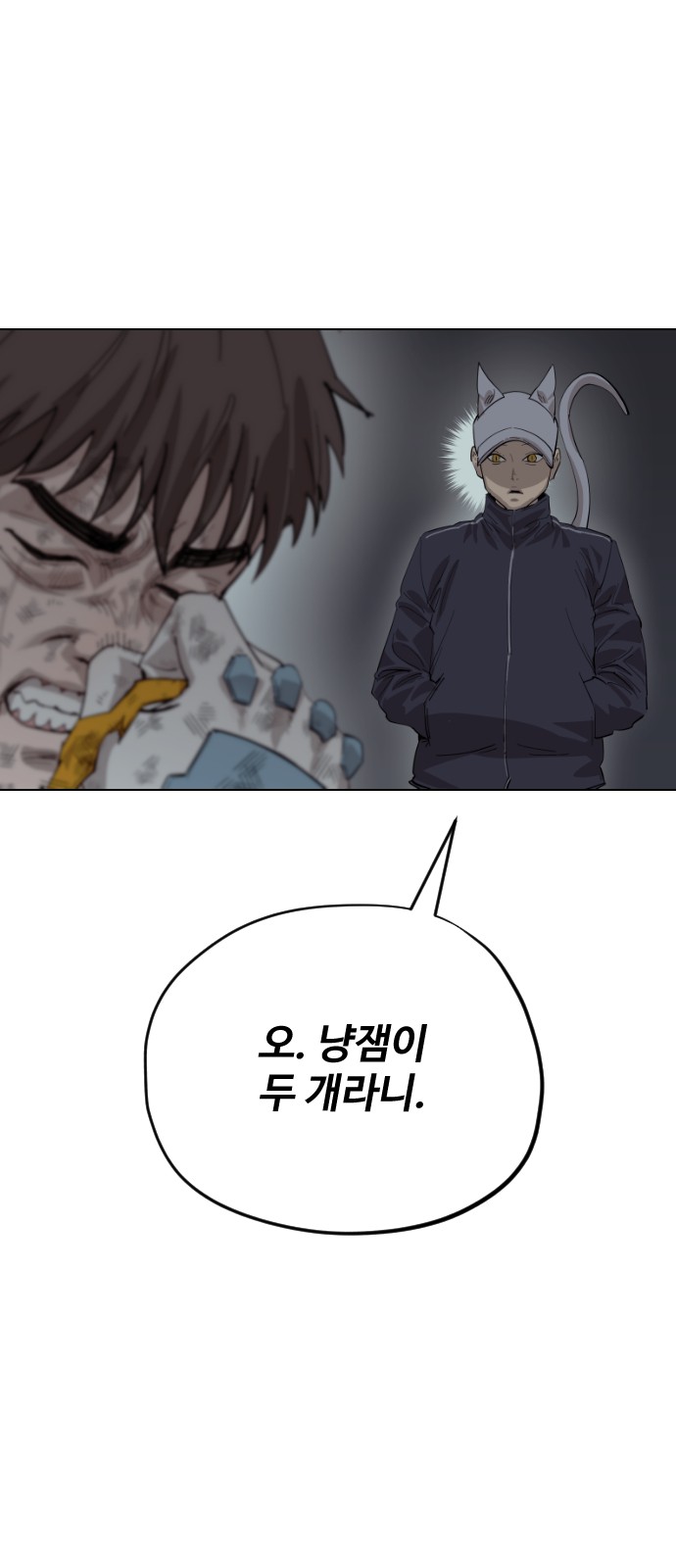 43 페이지
