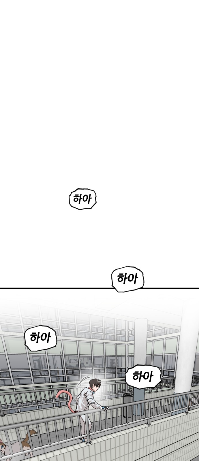 68 페이지