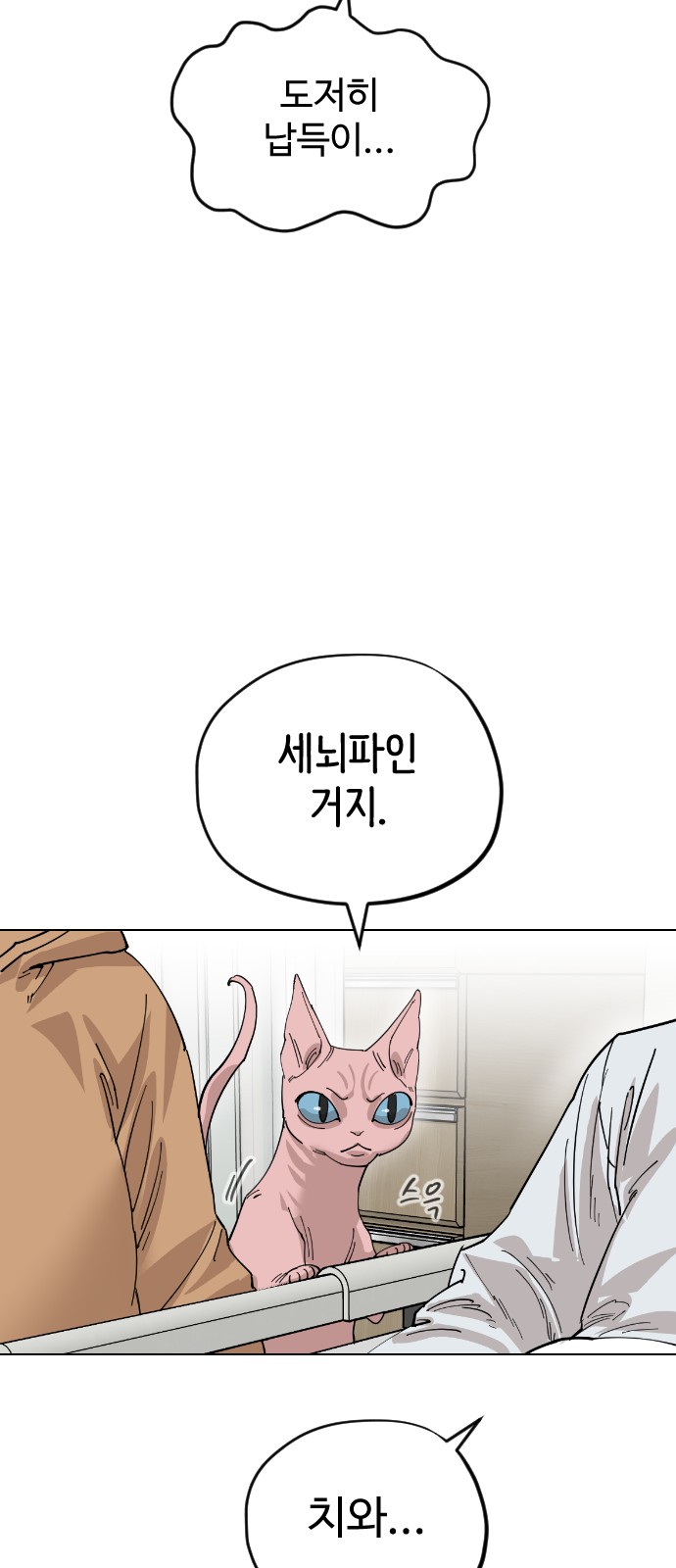 67 페이지