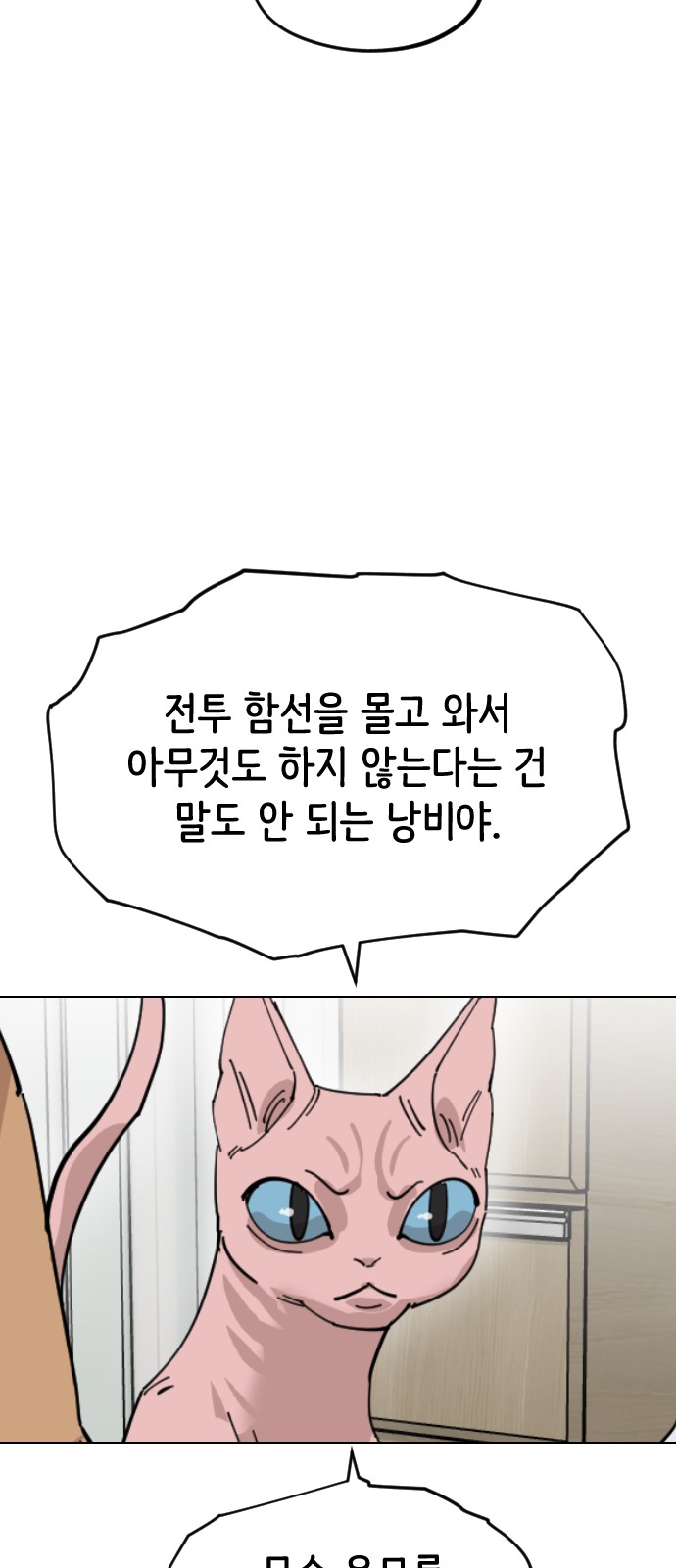 68 페이지