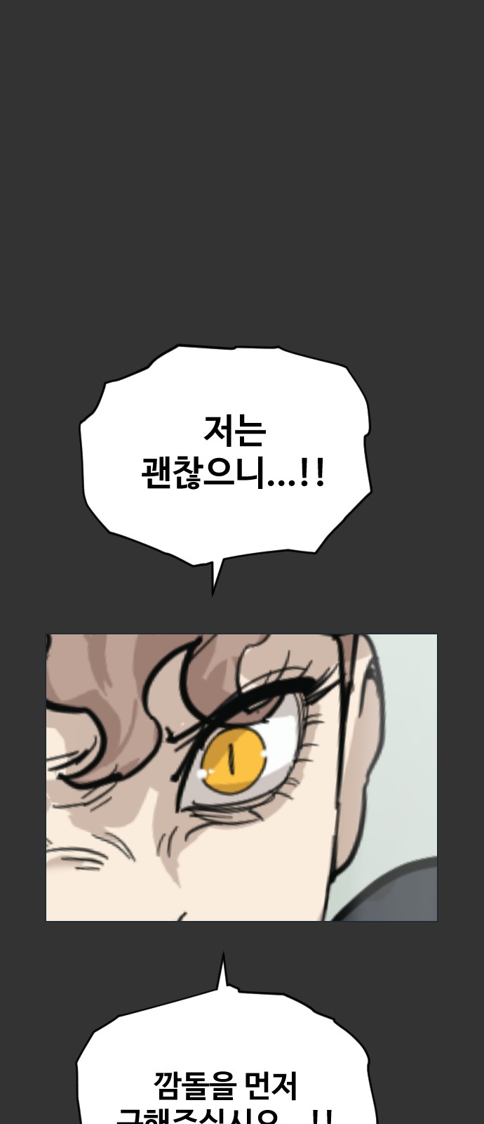 100 페이지