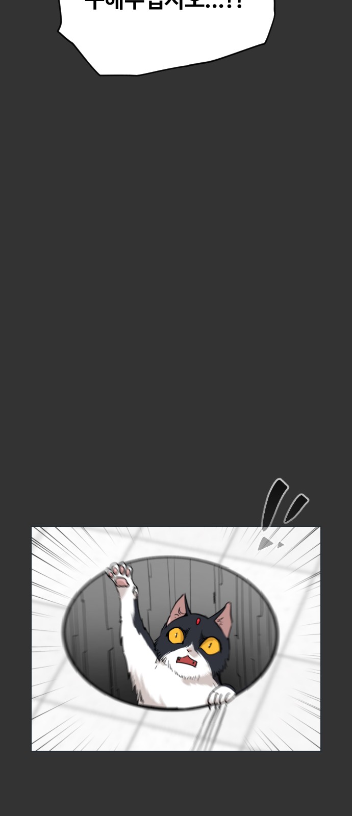 101 페이지