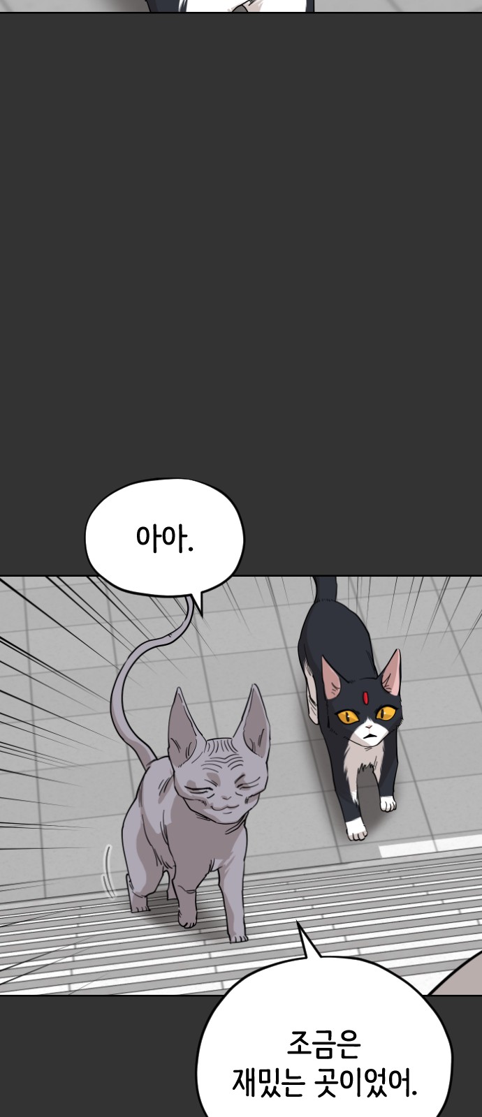 32 페이지