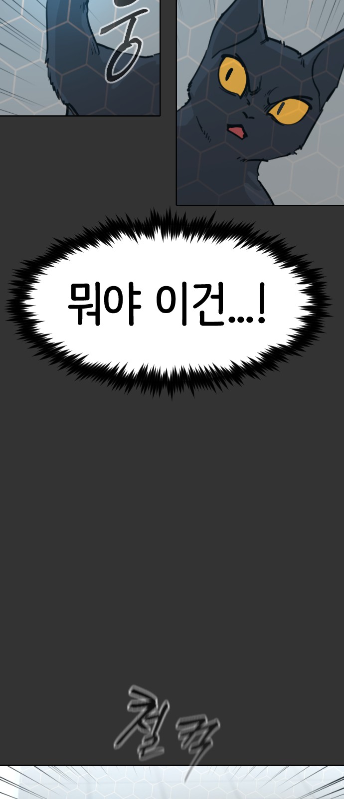 85 페이지