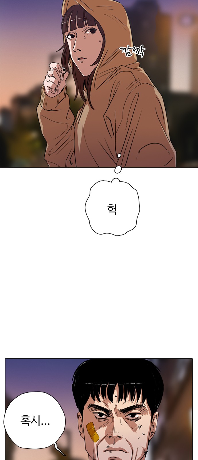 15 페이지