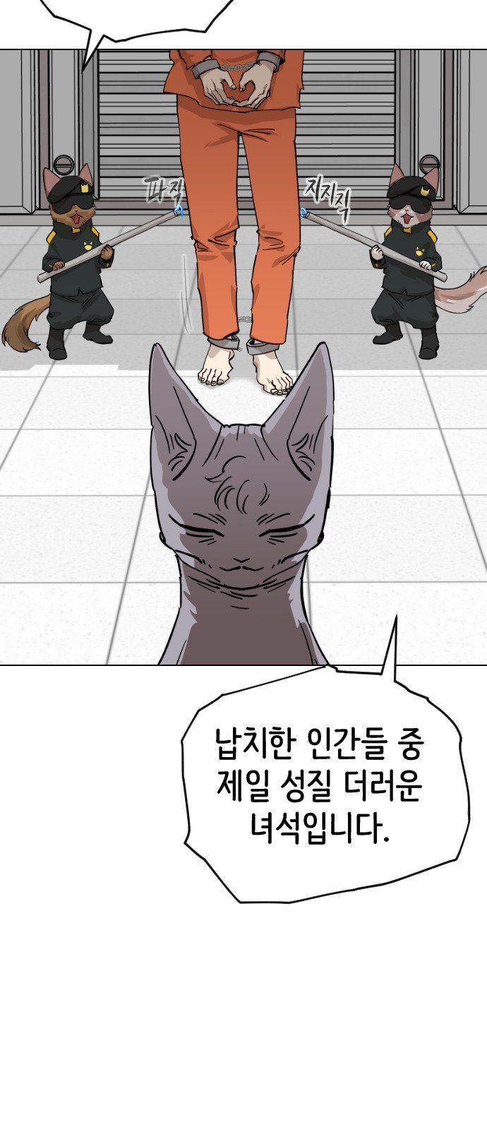 47 페이지